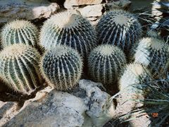 -国家植物园
