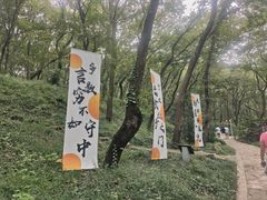 -句容茅山景区