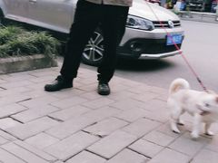 -仁华宠物医院(青羊店)