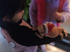 -昆明大悦城未来动物城(螺蛳湾中心店)