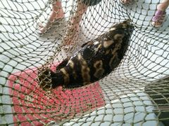 -邹记·美食(斗门店)