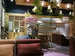 -柴务处·柴犬主题狗咖