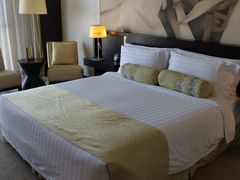 -国家会议中心大酒店