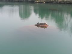 -莲峰云海景区