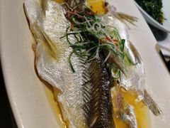 -大城小院饭店(博隆广场虹桥店)