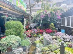 -山菌美食苑(振兴路店)