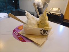 -野人牧坊Gelato(天津南开大悦城店)