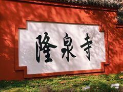-百脉泉景区