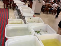 -双喜农庄·菌香园(安居家园店)