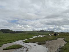 -御道口草原森林风景区