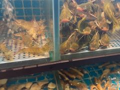 -透明思烤·自助烤肉海鲜火锅(东部星悦天地店)