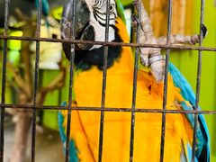 -北京野生动物园