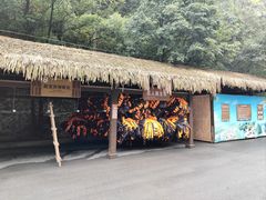 -神龙峡风景区