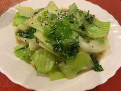 -熊猫川菜馆 panda chine