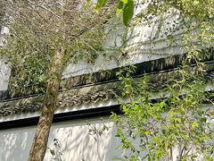 -杭州黄龙洞