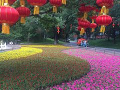 -丰台花园