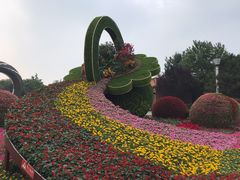 -大兴滨河森林公园