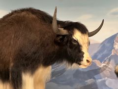 -陕西自然博物馆