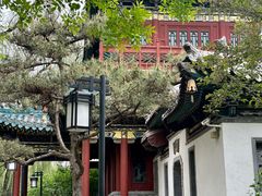 -迎泽公园