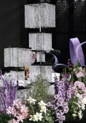 -明典婚礼策划·婚车租赁·婚纱摄影