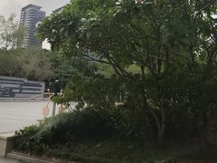 -映月湖公园