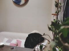 -瓦库19(历下店)