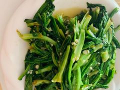 -煲来饱去冷水鱼