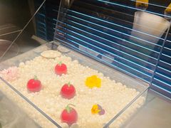 -双海潮·海鲜融合菜(如是海店)