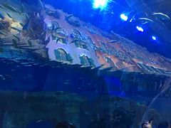 -华夏文旅西安度假区