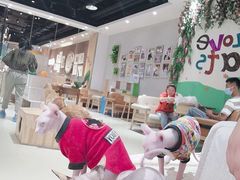 -藏猫猫咖啡主题馆(中央大道店)