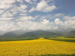 -青海湖国家重点风景名胜区