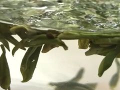 -欣怡茶庄·始于1999(梅家坞店)