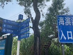 -西涌国际滨海旅游区