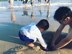 -西涌国际滨海旅游区