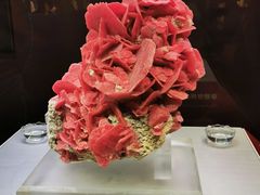 -湖南省地质博物馆