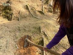 -桂山风景旅游区