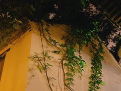 -铃木食堂(杨梅竹店)
