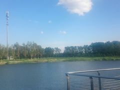 -永定河休闲森林公园