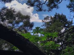 -广州市白云山风景名胜区