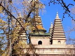 -北京石刻艺术博物馆(五塔寺)