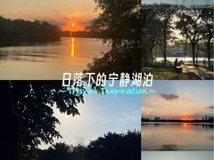 -海珠湖公园