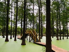 -渌洋湖湿地公园