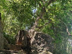 -第一山景区