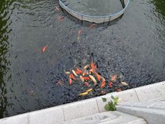 -三亚南山文化旅游区