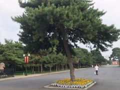 -北陵公园