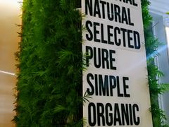 -Green Option(官舍店)