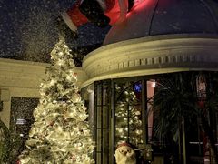 -弦月窗LUNETTE BY AMANDA(复兴路店)