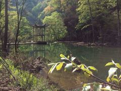 android_upload_pic-黎坪国家森林公园