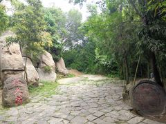 -沂蒙云瀑洞天景区