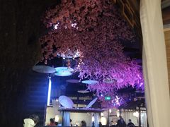 -韵秋荷(宝山龙湖天街店)